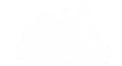 Zoo