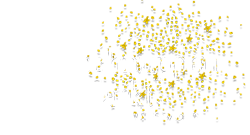 Wiesbaden